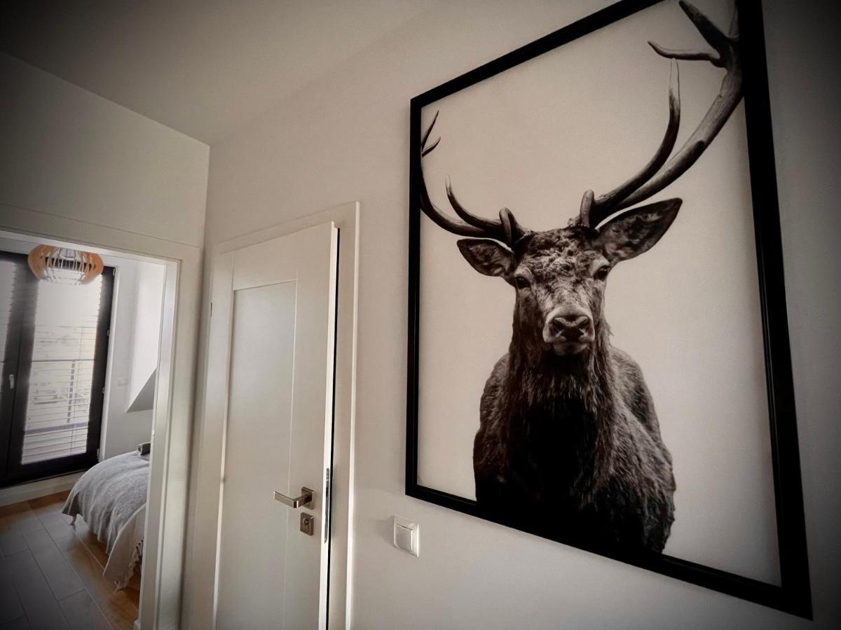 Lazy Deer - Apartamenty Еленя-Гура Экстерьер фото